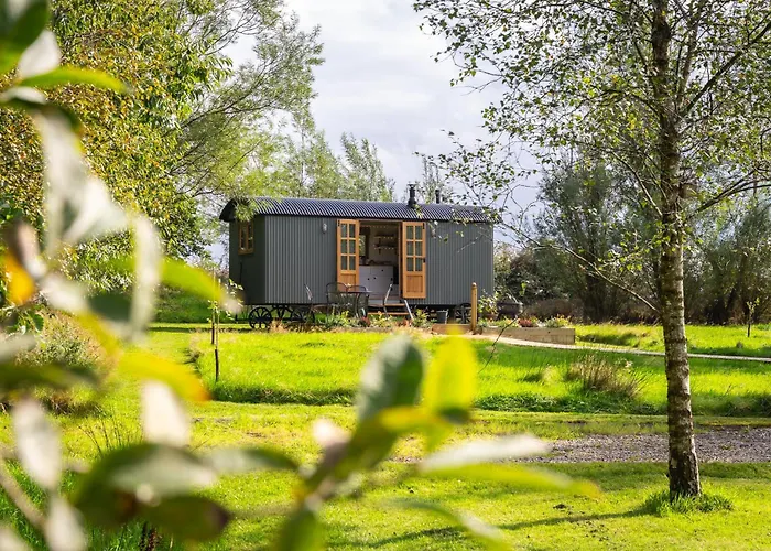 Peatlands Retreat, Causeway Coast